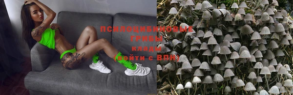 бутират Алексеевка