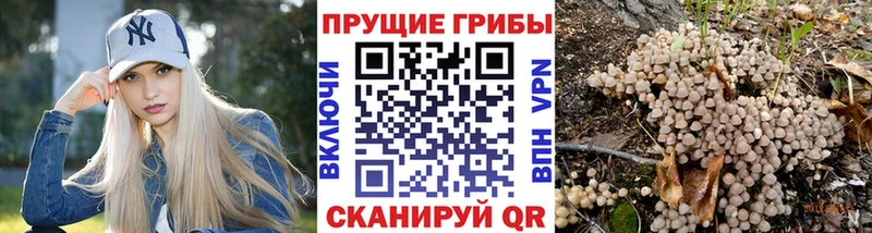 Галлюциногенные грибы ЛСД  купить наркоту  hydra зеркало  Учалы 